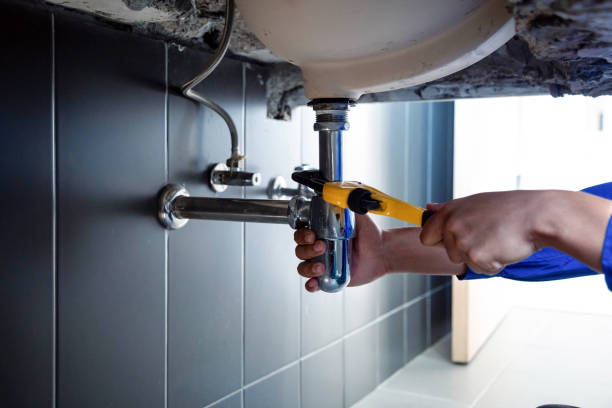 Best Garbage Disposal Repair and Installation  in Ware Shoals, SC